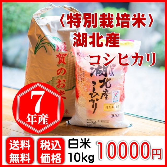 【特別栽培米】湖北産コシヒカリ 10㎏