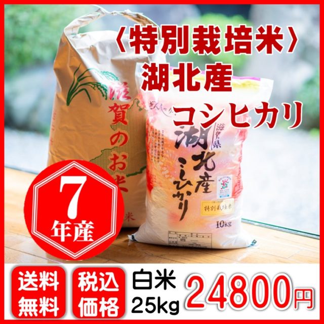 【特別栽培米】湖北産コシヒカリ〈白米〉25㎏
