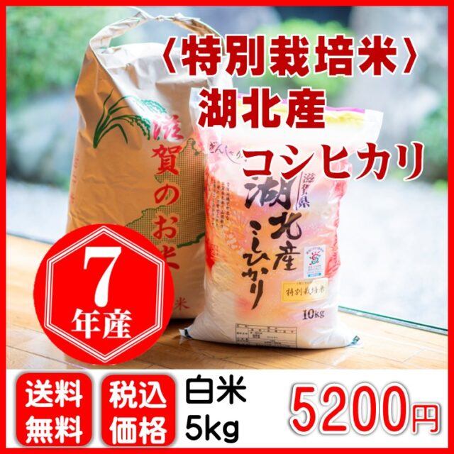 【特別栽培米】湖北産コシヒカリ 5㎏